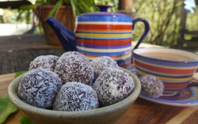 Raw cacao and almond meal bliss balls