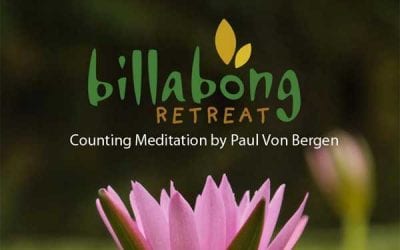 Free Guided Meditation by Paul von Bergen