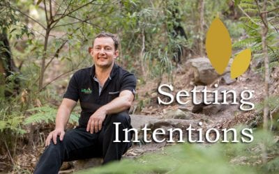 Setting Quality Intentions: Top Eight Tips by Paul von Bergen