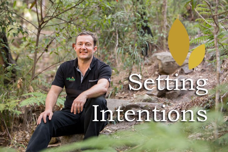 Setting Quality Intentions: Top Eight Tips by Paul von Bergen