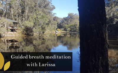 Meditation on breath with Larissa