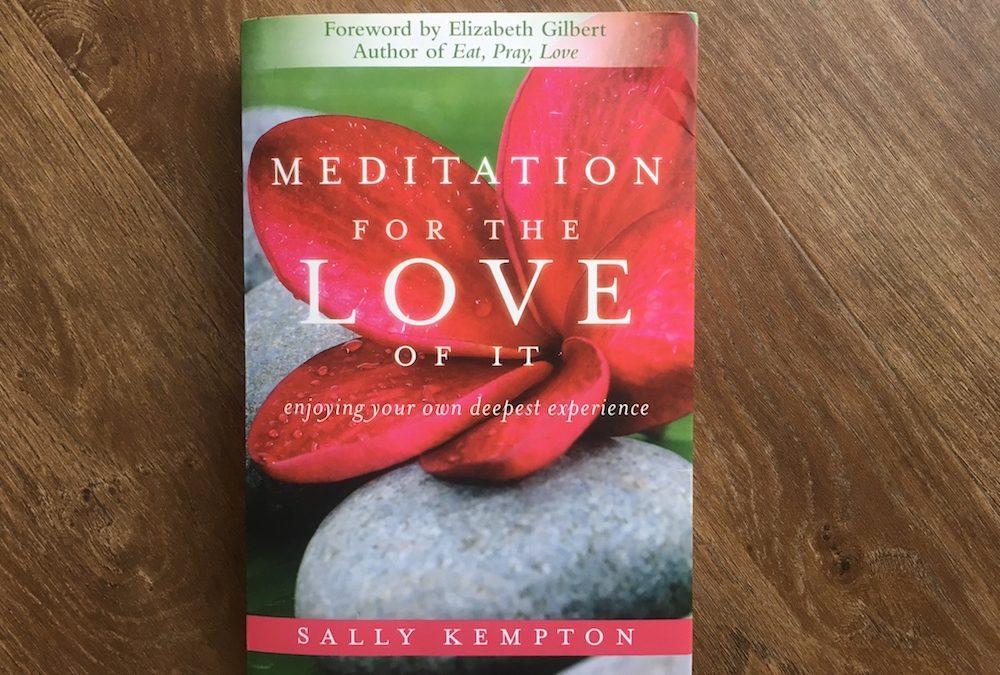 Book: Meditation for the love of it